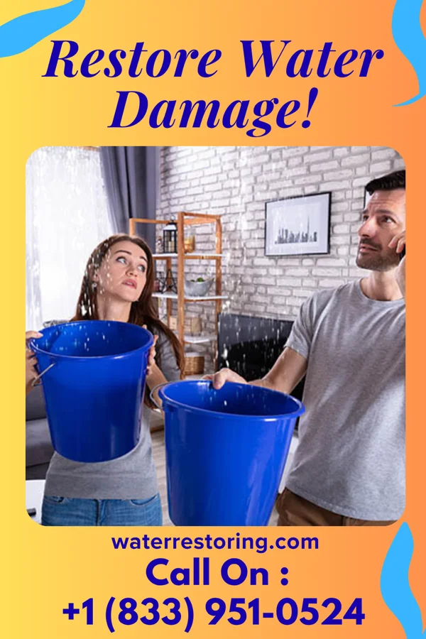 water restoration Horizon Water Damage Professionals Miami Beach